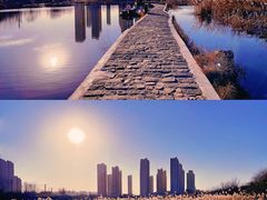 -前关湿地公园