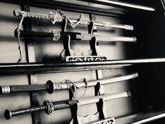 -国际咏春拳联合会拳馆俱乐部