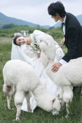-蒙太奇婚纱摄影(万达店)