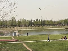 -洨河生态公园