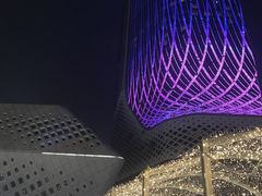 -南京眼步行桥