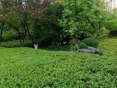 -龙头寺公园