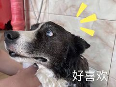 -北京恒爱动物医院(清景园分院)