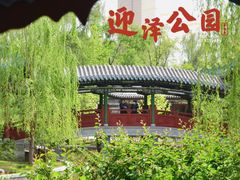-迎泽公园