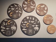 -四川大学博物馆