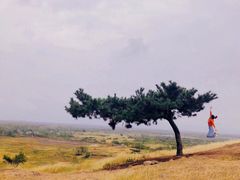 -恋山坝上草原