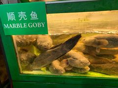 -無招牌海鮮(芽笼店)