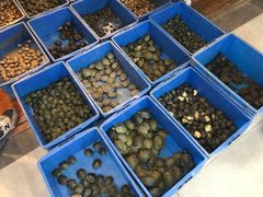 -苏州艺都古玩花鸟市场