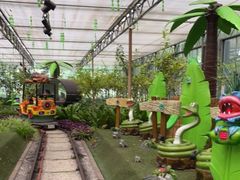 -南宫五洲植物乐园