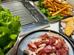 -山野的朋友露营炭火烤肉