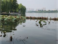 -济南大明湖景区