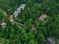 -玉苍山国家森林公园