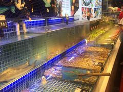 -必点海鲜·鲅鱼水饺(鞍山西道店)