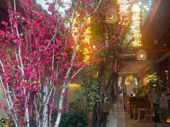 -王捌小院(红花坡店)