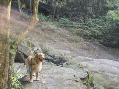 -湖州龙王山景区