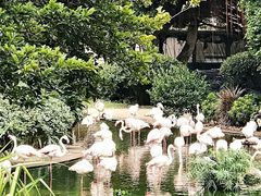 -九龙公园