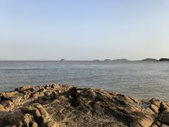 -野狸岛