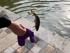 -酷鱼垂钓CLUB(朝阳区博大路店 )