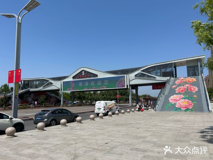 曹州牡丹园图片