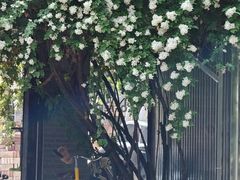 -出走咖啡·面包(宋庄店)