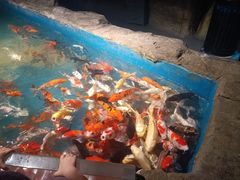 -石家庄海洋公园