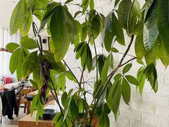 -Ricci睿奇美式餐厅(五道口店)