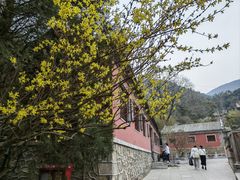 -潭柘寺景区