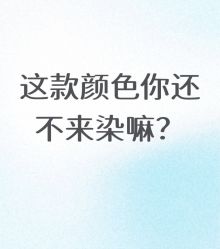 -D.G造型·烫发染发接发