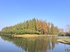 -黄海国家森林公园