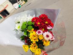 -秦美花卉(天朗·莱茵小城2期店)