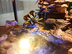 -佬麻雀·新湘菜(珠海金发购物中心店)