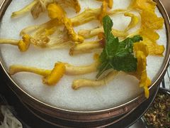 -芸山季·云南野生菌火锅(南翔印象城MEGA店)