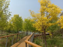 -东郊湿地公园