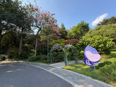 -云溪植物园