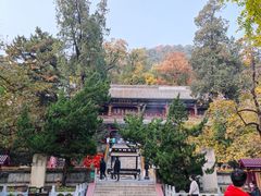 -潭柘寺景区