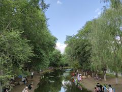 -长白岛森林公园