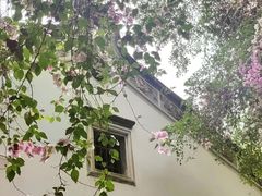 -深圳国际园林花卉博览园