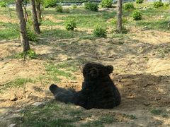 -太原动物园