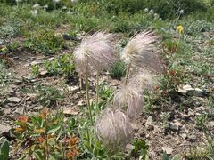 -鹫峰国家森林公园