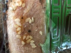 烤鸭-鲜道寿司(无锡苏宁店)