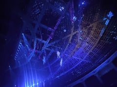 -灵玲国际马戏城