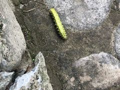 -楠溪江风景名胜区