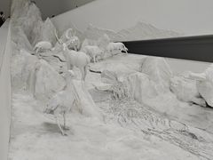 -中国湿地博物馆