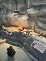 -Zoolung Zoolung动物主题公园(海信广场店)