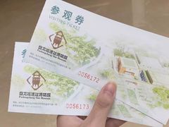 -盘龙城国家考古遗址公园