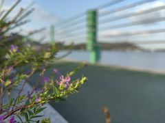 -东钱湖旅游度假区