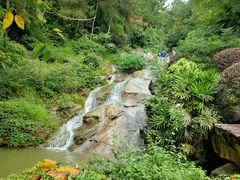 -铁山坪森林公园