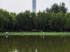 -团结湖公园