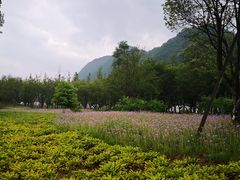 -贵阳市花溪国家城市湿地公园