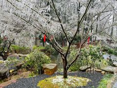 -岳麓山风景名胜区